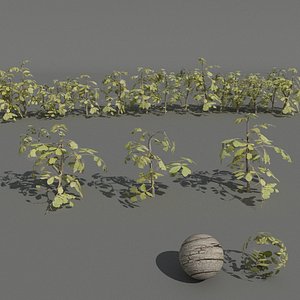 3D hedge plants model