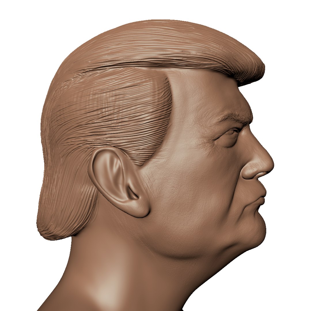 3D Portrait President Model - TurboSquid 1299703