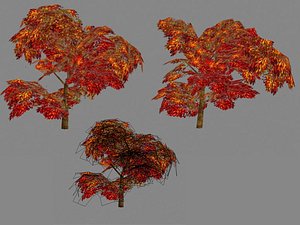 3d tree