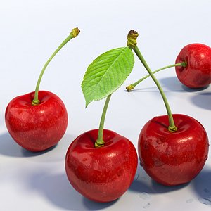 cherries stem advertising 3D