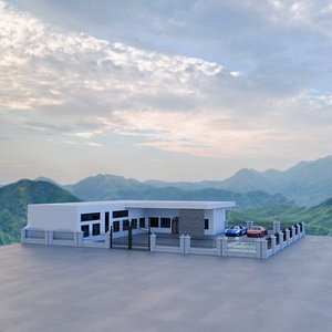 3D Generic modern villa with swimming pool