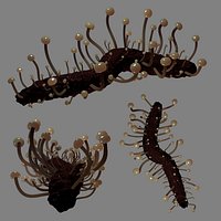 Claviceps Purpurea - Ergot - LSD