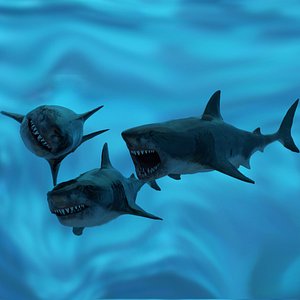 Great White Shark Model Unreal Engine 4 7 animations Pack