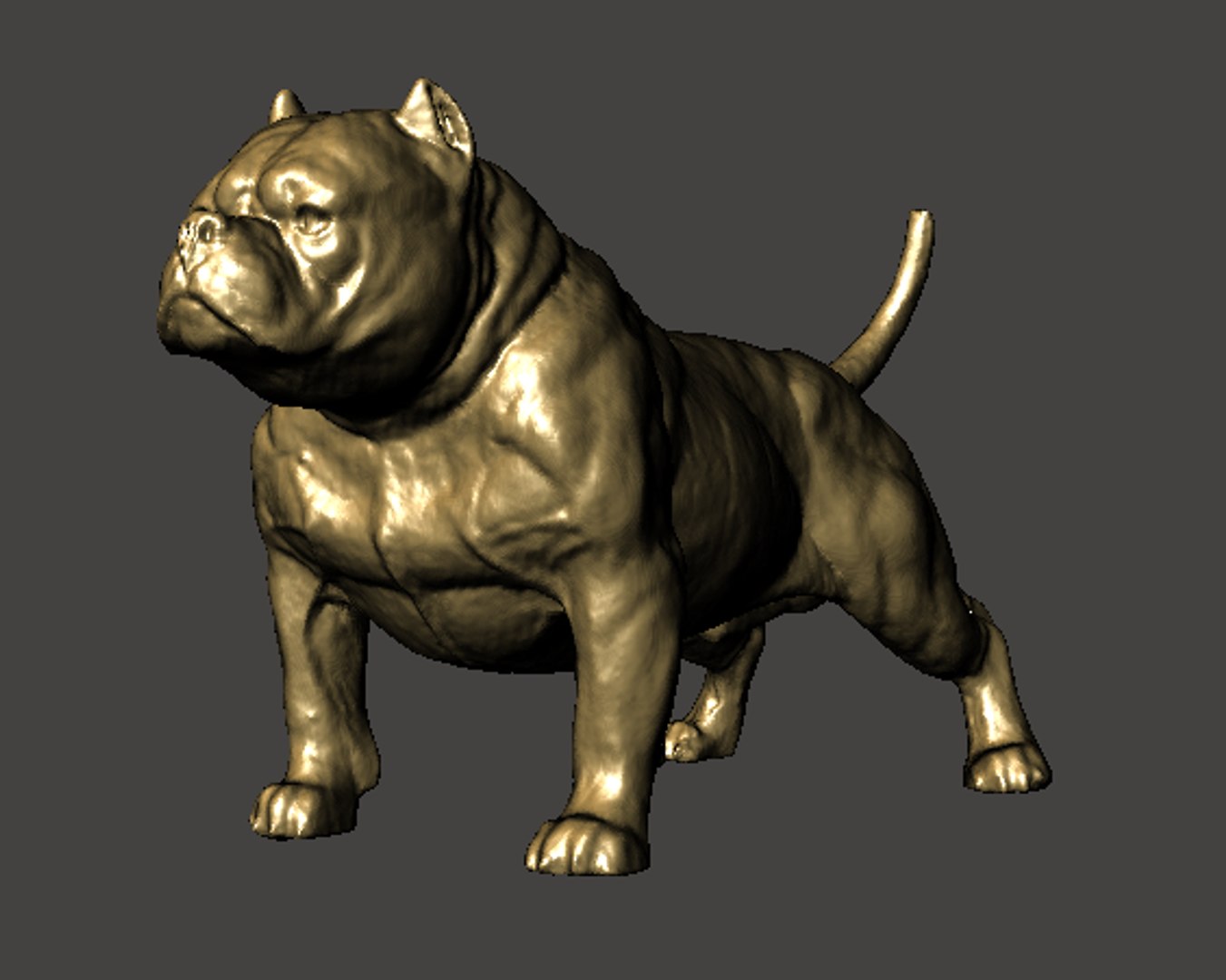 3,048 Small American Bully Dog Images, Stock Photos, 3D objects, & Vectors