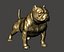 American Bully