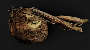 3D model tree root dry wood debris pt5 PBR photogrammetry