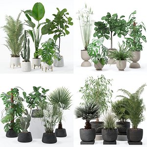 20 Photorealistic Flowers for Interiors - set 122 127 131 135