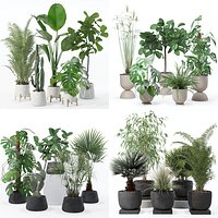 20 Photorealistic Flowers for Interiors - set 122 127 131 135