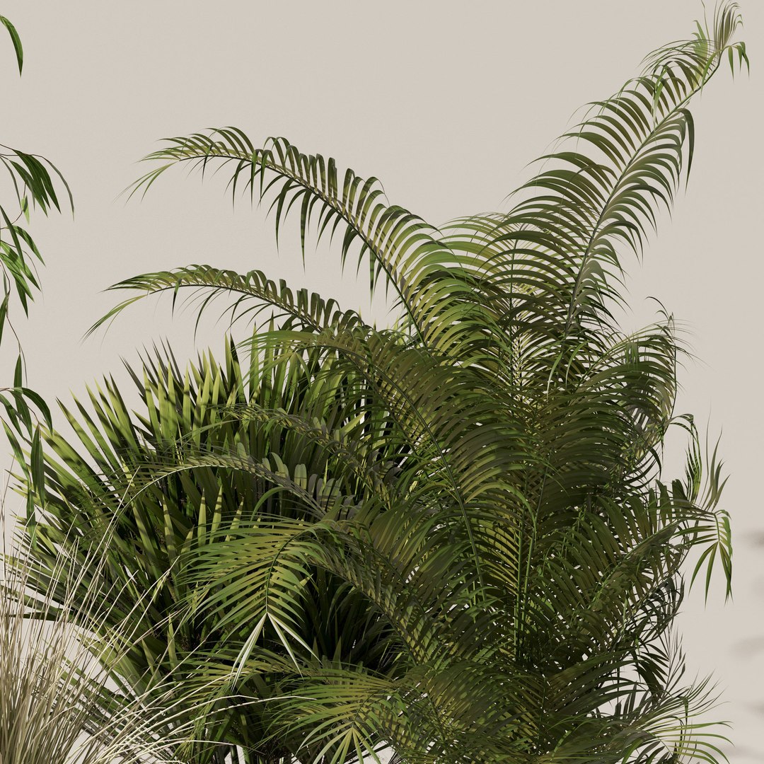 3D Model 20 Photorealistic Flowers For Interiors - Set 122 127 131 135 ...