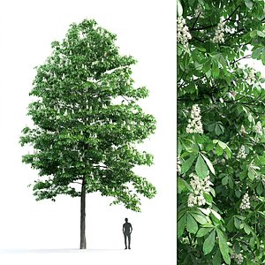 tree 3D model