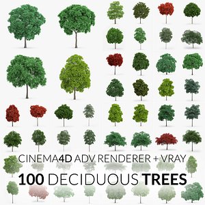 Deciduous Trees Collection - 100 Trees - C4D