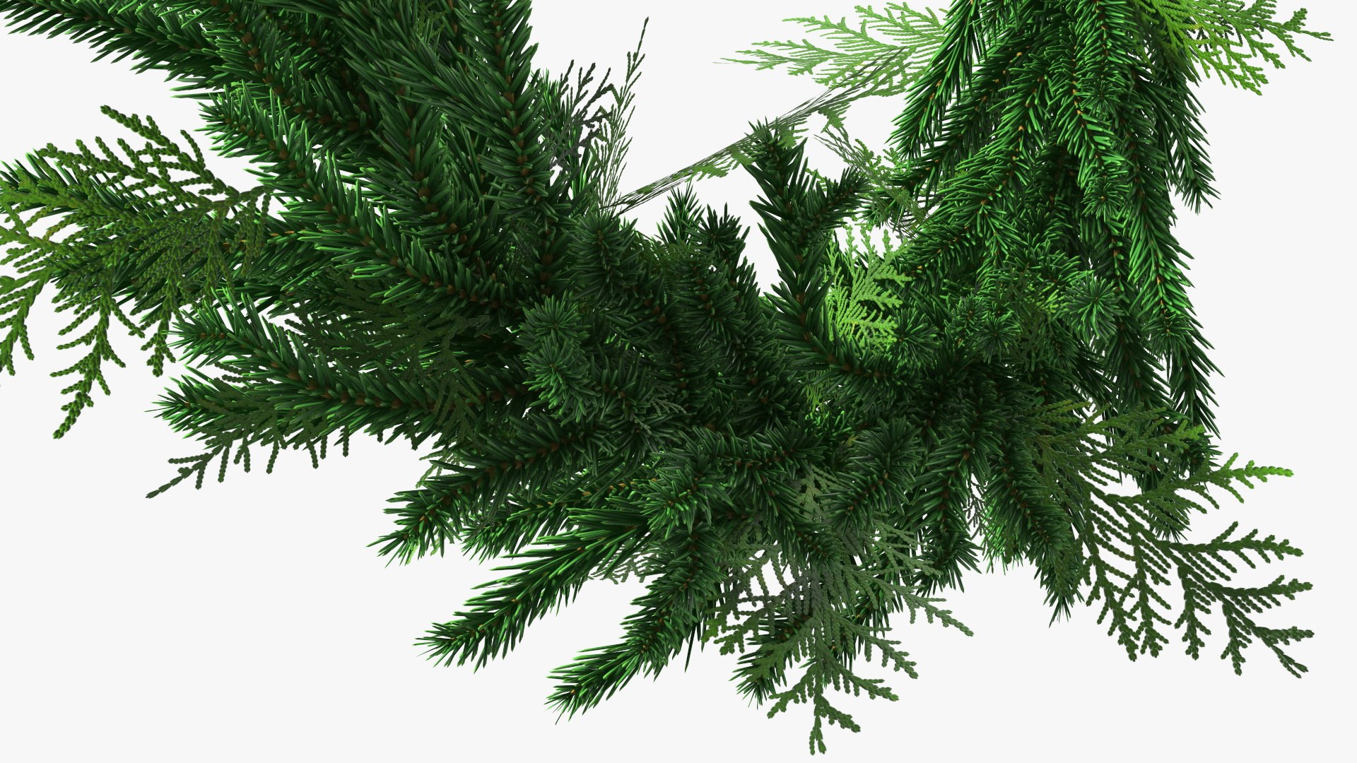 3D Natural Fir Christmas Wreath Decoration https://p.turbosquid.com/ts-thumb/E0/V8Bdo3/JF/naturalfirchristmaswreathdecoration3dsmodel013/jpg/1638616212/1920x1080/fit_q87/e7f87dfd4e4cbffbf9d401f1175629c0d4ee297a/naturalfirchristmaswreathdecoration3dsmodel013.jpg