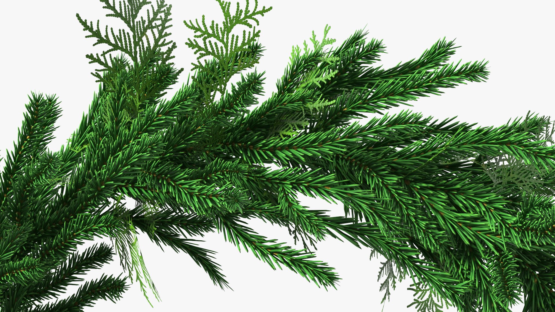 3D Natural Fir Christmas Wreath Decoration https://p.turbosquid.com/ts-thumb/E0/V8Bdo3/Kg/naturalfirchristmaswreathdecoration3dsmodel011/jpg/1638616206/1920x1080/fit_q87/59b50d6badc529c7a47de8c67a0018207db8f807/naturalfirchristmaswreathdecoration3dsmodel011.jpg