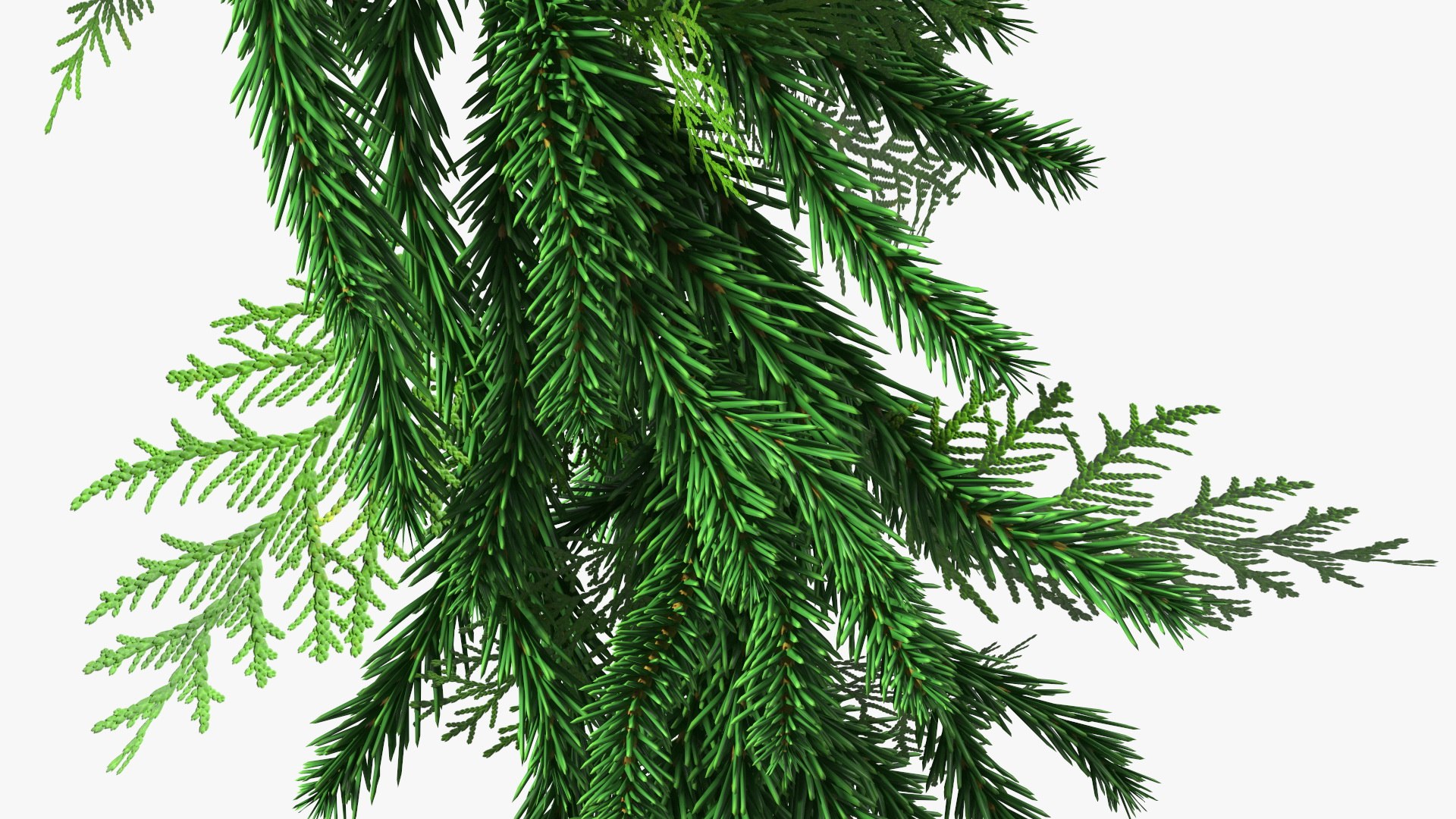 3D Natural Fir Christmas Wreath Decoration https://p.turbosquid.com/ts-thumb/E0/V8Bdo3/Zc/naturalfirchristmaswreathdecoration3dsmodel010/jpg/1638616203/1920x1080/fit_q87/9561b509dbb6267c543f99959a27d83b5c160822/naturalfirchristmaswreathdecoration3dsmodel010.jpg