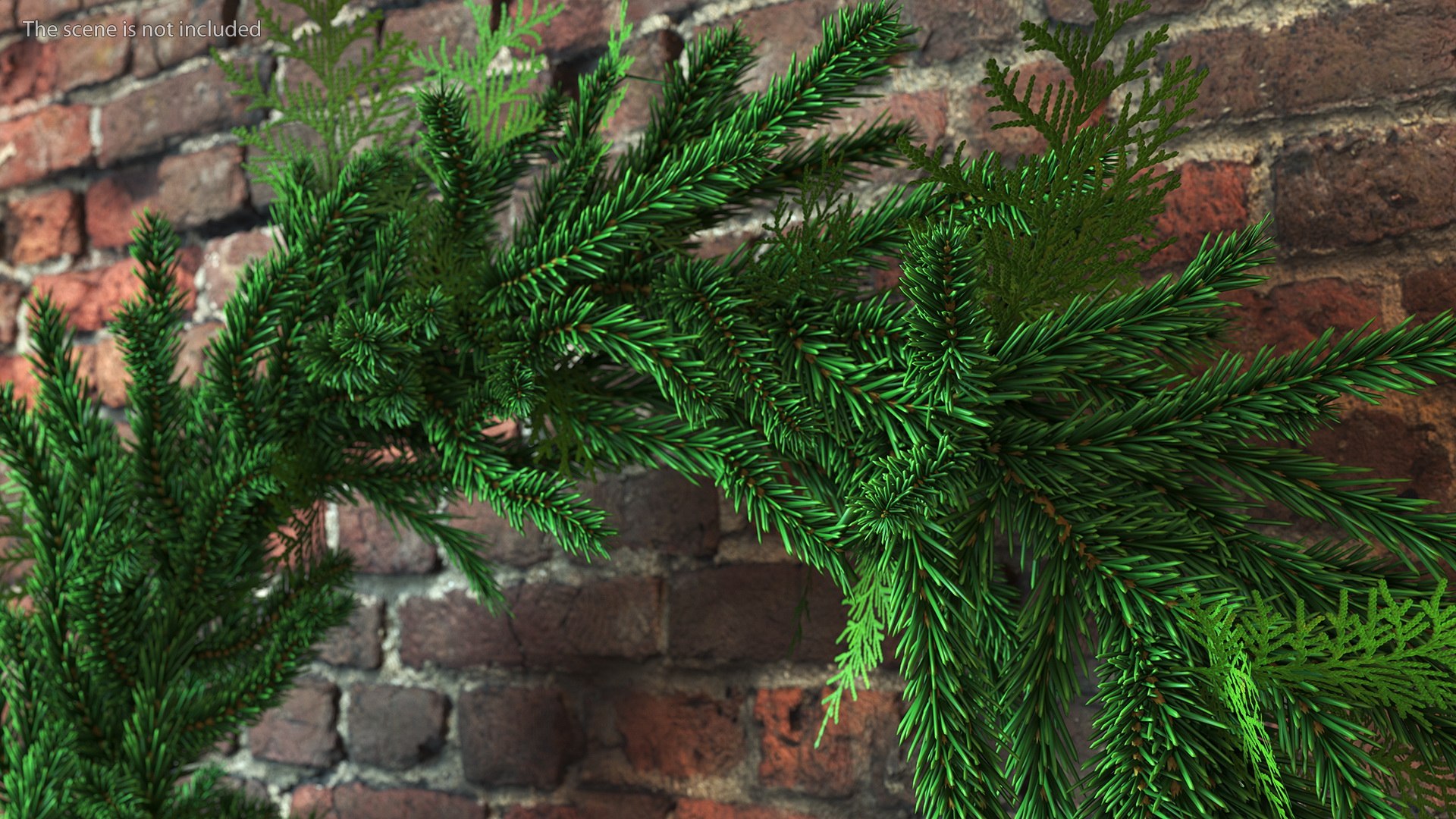 3D Natural Fir Christmas Wreath Decoration https://p.turbosquid.com/ts-thumb/E0/V8Bdo3/lz/naturalfirchristmaswreathdecoration3dsmodel006/jpg/1638616192/1920x1080/fit_q87/c45ae5240e6e0d192d52ef5ce172367c209636c8/naturalfirchristmaswreathdecoration3dsmodel006.jpg
