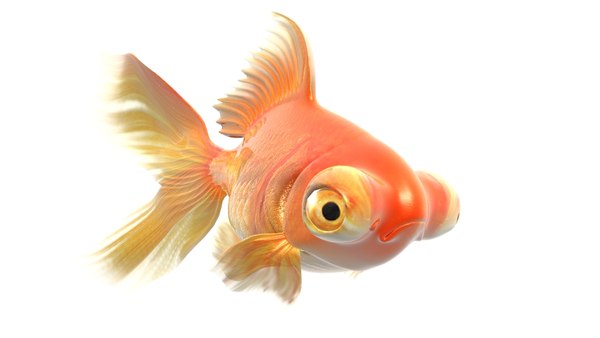 3d model goldfish rigged morphed