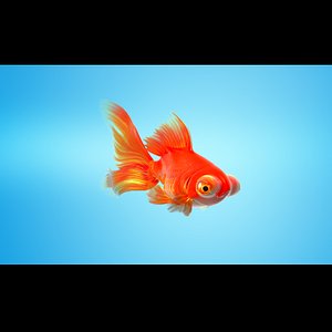 3d model goldfish rigged morphed