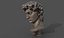 3D Bust of David model