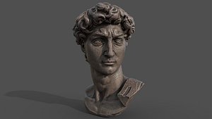 3D Bust of David model