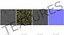 Camo Field Cap with Earflaps