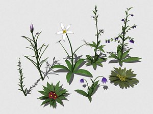 plants games realtime 3d model