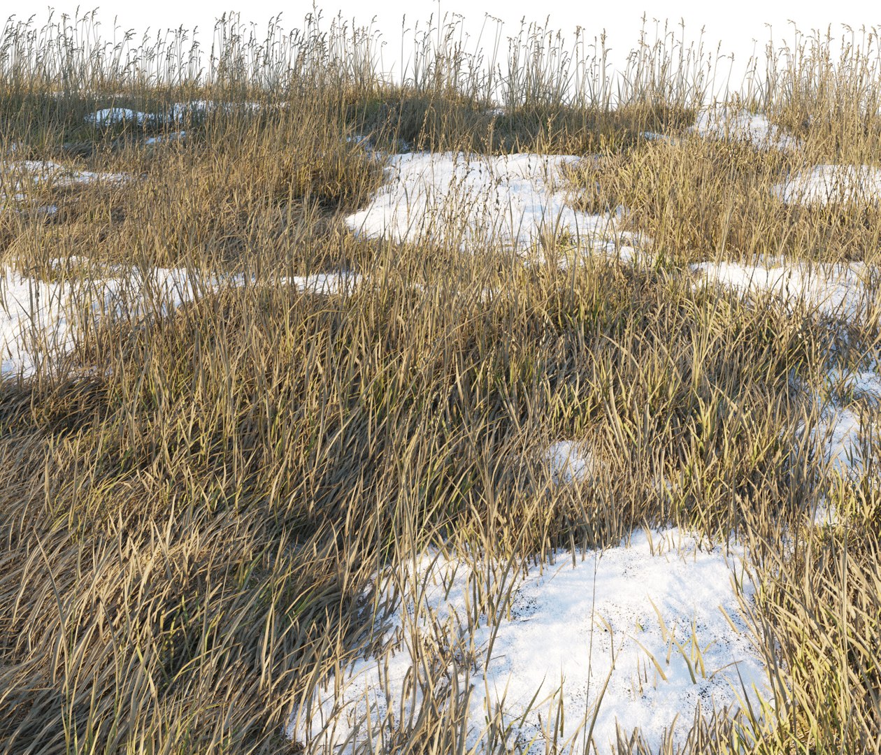 Dry Grass 3D Model - TurboSquid 1406348