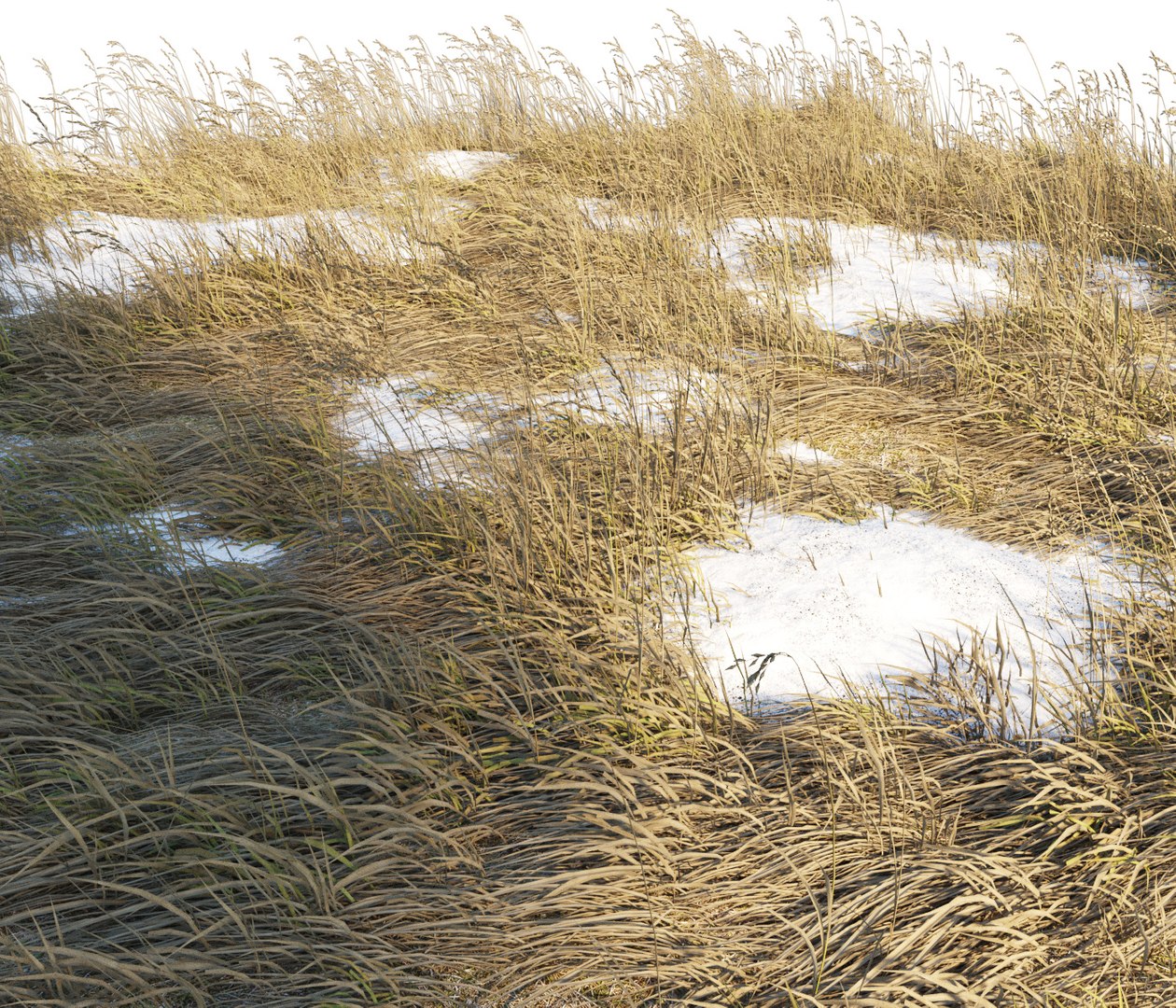Dry Grass 3D Model - TurboSquid 1406348