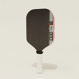 JOOLA Ben Johns Perseus Pro IV model