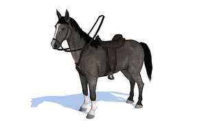 3D horse black animation model