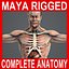 MAYA RIGGED PACK Completo de Anatomia Masculina