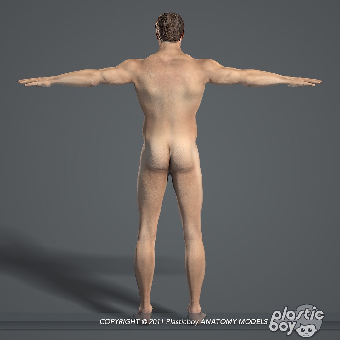 rigged complete male anatomy 3d ma https://p.turbosquid.com/ts-thumb/E1/4w7dOn/bYf1xypG/male_body_03/jpg/1397743584/1920x1080/fit_q87/e4a63379a53d25f677fb528af18f4c011ec51a8f/male_body_03.jpg