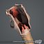 MAYA RIGGED PACK Completo de Anatomia Masculina