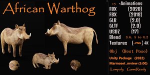 African Warthog
