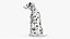 Spotted Sitting Dalmatian Dog