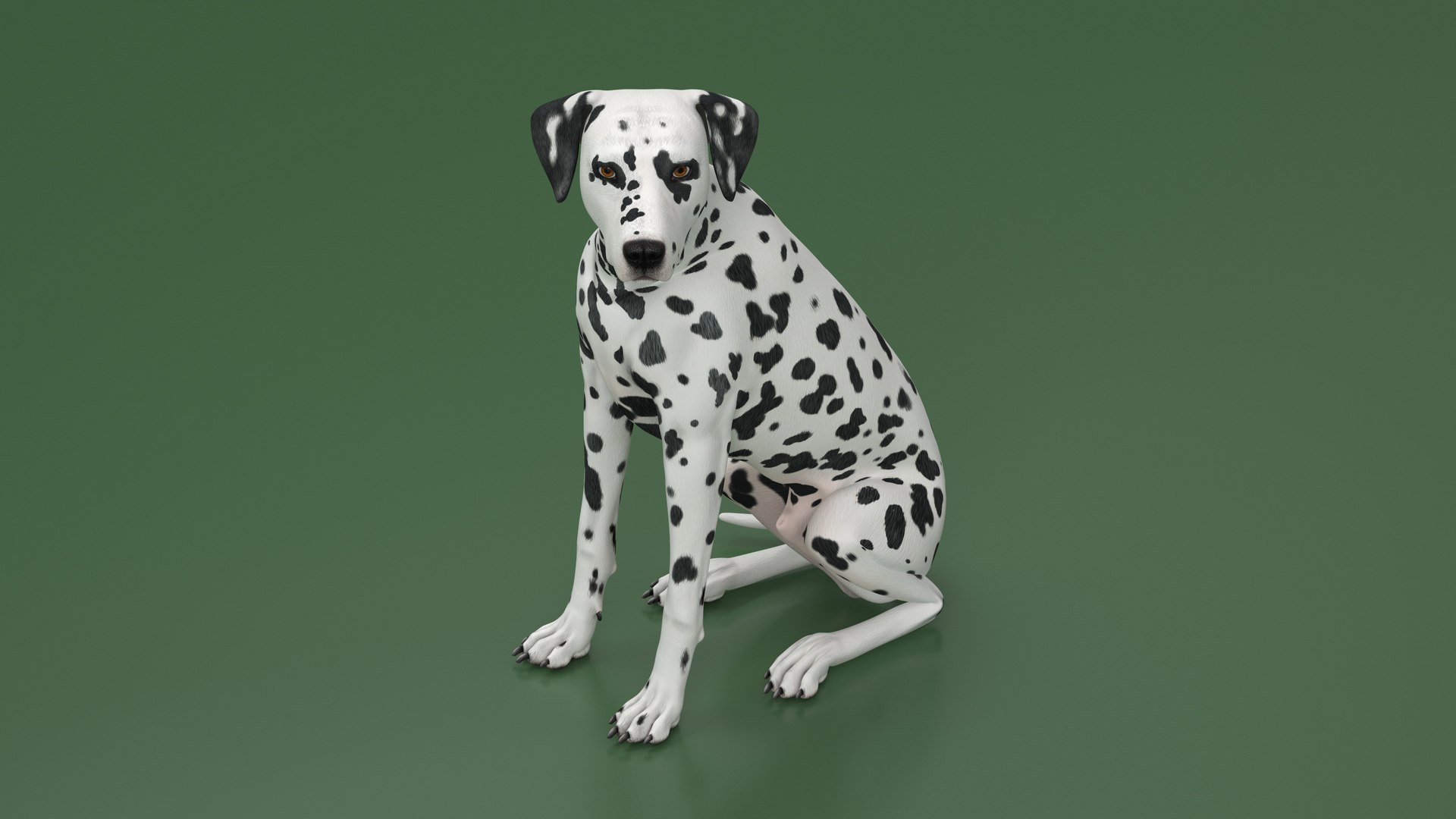 Spotted Sitting Dalmatian Dog 3D model https://p.turbosquid.com/ts-thumb/E1/Aq6V3j/GK/spottedsittingdalmatiandogc4dmodel014/jpg/1716113790/1920x1080/fit_q87/a454bef7eba6e47091977f3a2247781c60ad7692/spottedsittingdalmatiandogc4dmodel014.jpg