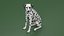 Spotted Sitting Dalmatian Dog