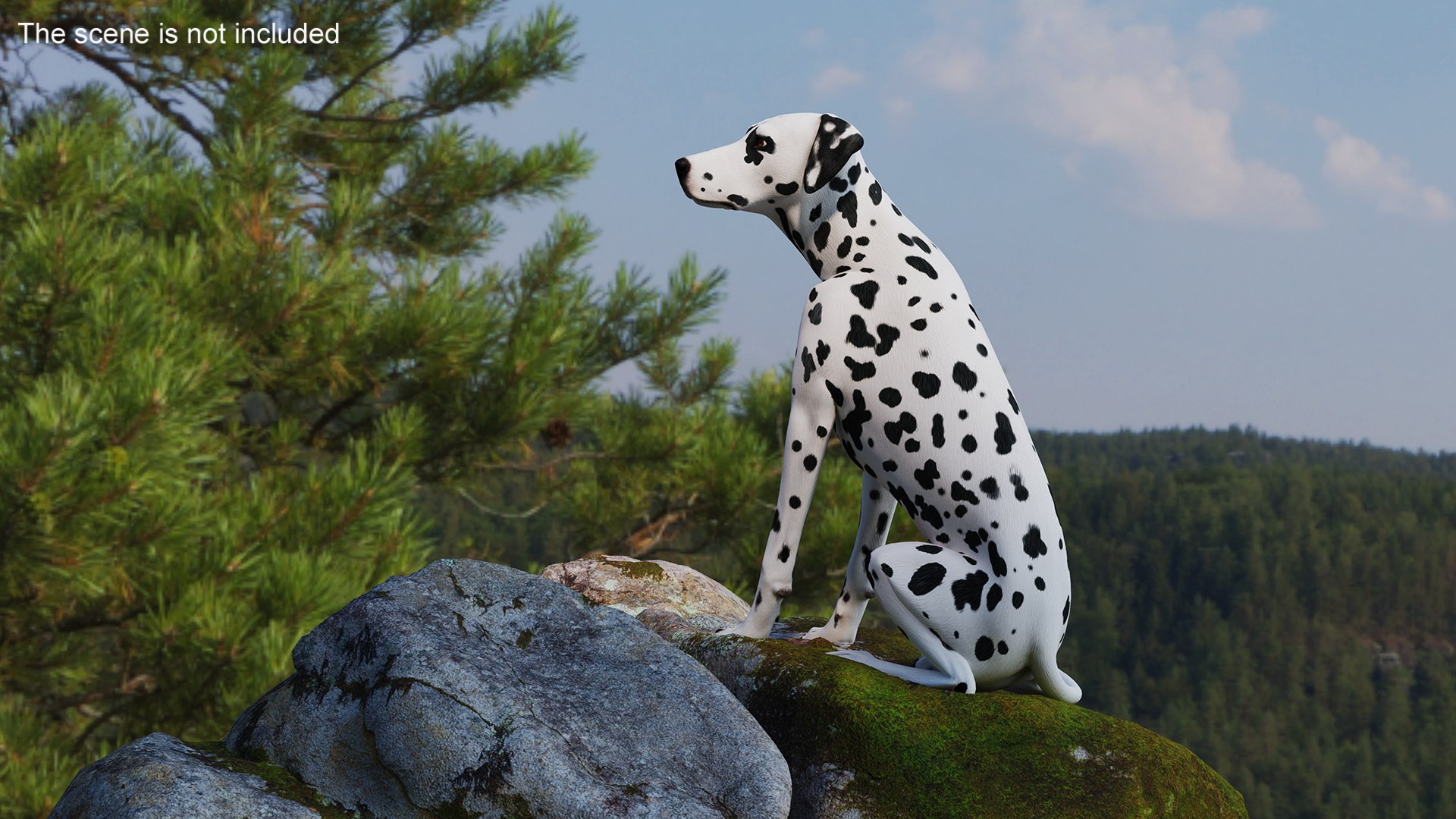 Spotted Sitting Dalmatian Dog 3D model https://p.turbosquid.com/ts-thumb/E1/Aq6V3j/MJ/spottedsittingdalmatiandogc4dmodel008/jpg/1716113779/1920x1080/fit_q87/052292d64758838203566c0109e8cc71978a8e80/spottedsittingdalmatiandogc4dmodel008.jpg