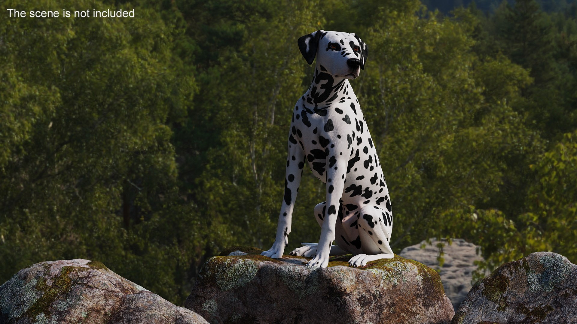 Spotted Sitting Dalmatian Dog 3D model https://p.turbosquid.com/ts-thumb/E1/Aq6V3j/Py/spottedsittingdalmatiandogc4dmodel006/jpg/1716113776/1920x1080/fit_q87/175dc61683504acf70afcbca203b8231d4754992/spottedsittingdalmatiandogc4dmodel006.jpg