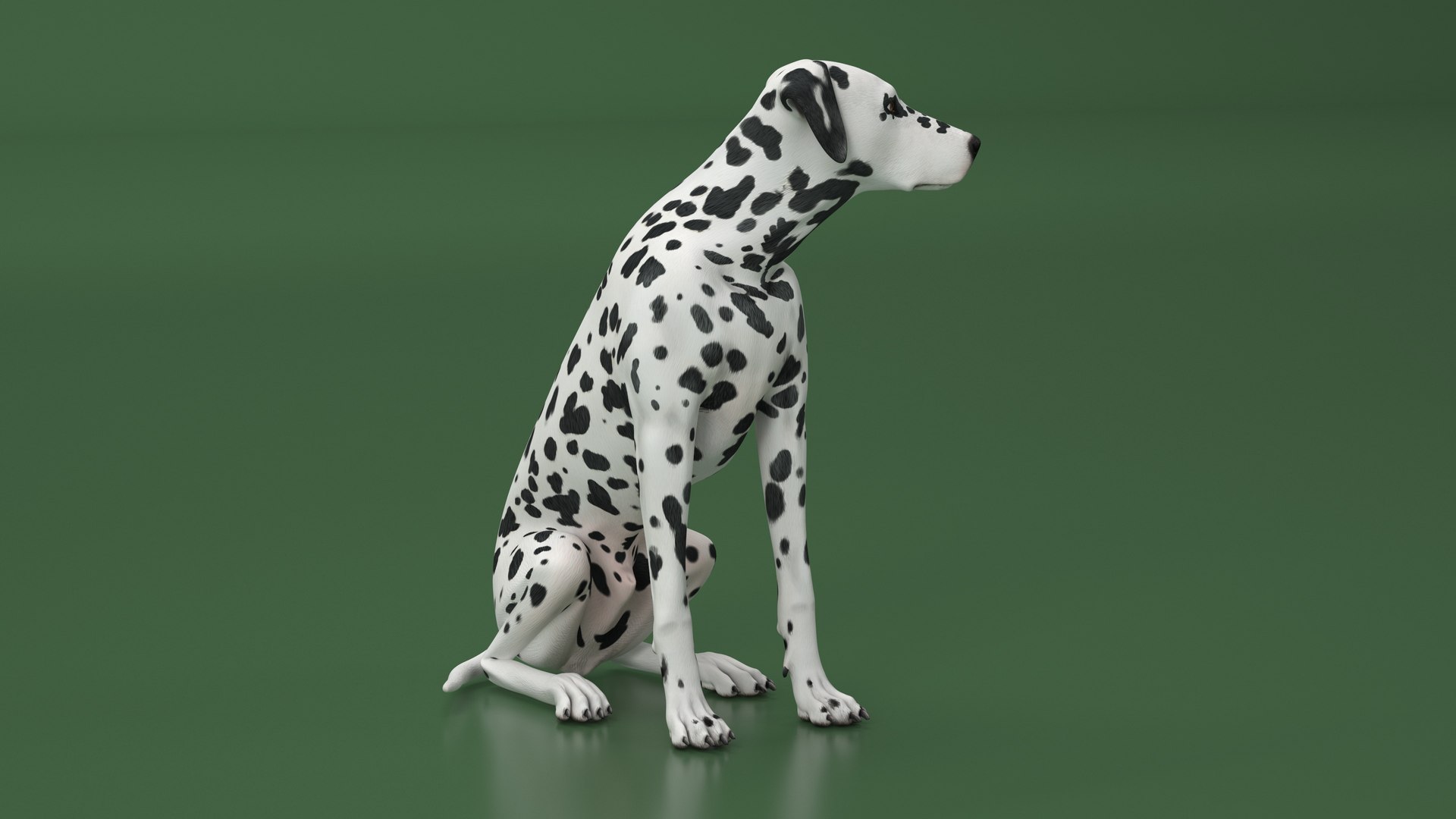 Spotted Sitting Dalmatian Dog 3D model https://p.turbosquid.com/ts-thumb/E1/Aq6V3j/UK/spottedsittingdalmatiandogc4dmodel012/jpg/1716113786/1920x1080/fit_q87/43a27cfd26f60c27877cd5dc4c29623e6db02856/spottedsittingdalmatiandogc4dmodel012.jpg