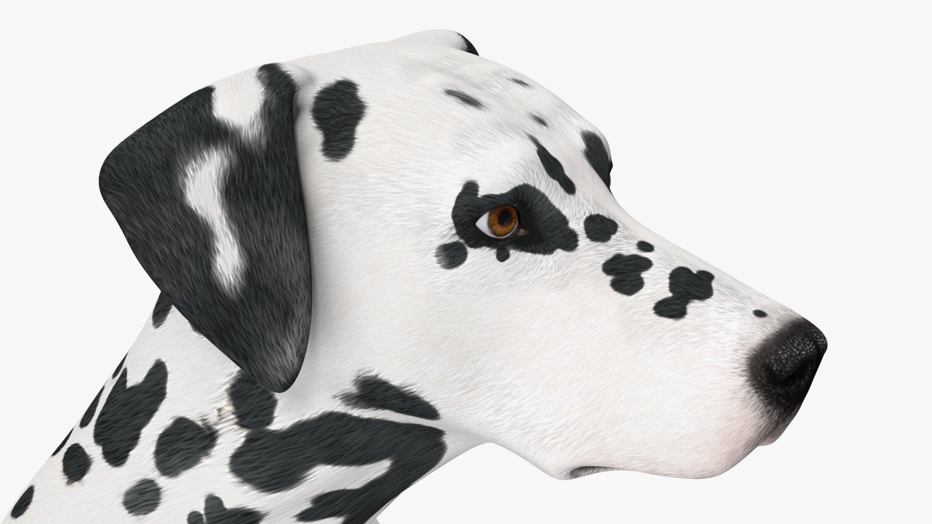 Spotted Sitting Dalmatian Dog 3D model https://p.turbosquid.com/ts-thumb/E1/Aq6V3j/Zz/spottedsittingdalmatiandogc4dmodel019/jpg/1716113806/1920x1080/fit_q87/3aba0b335824c22133f3489a472185149dbc222c/spottedsittingdalmatiandogc4dmodel019.jpg
