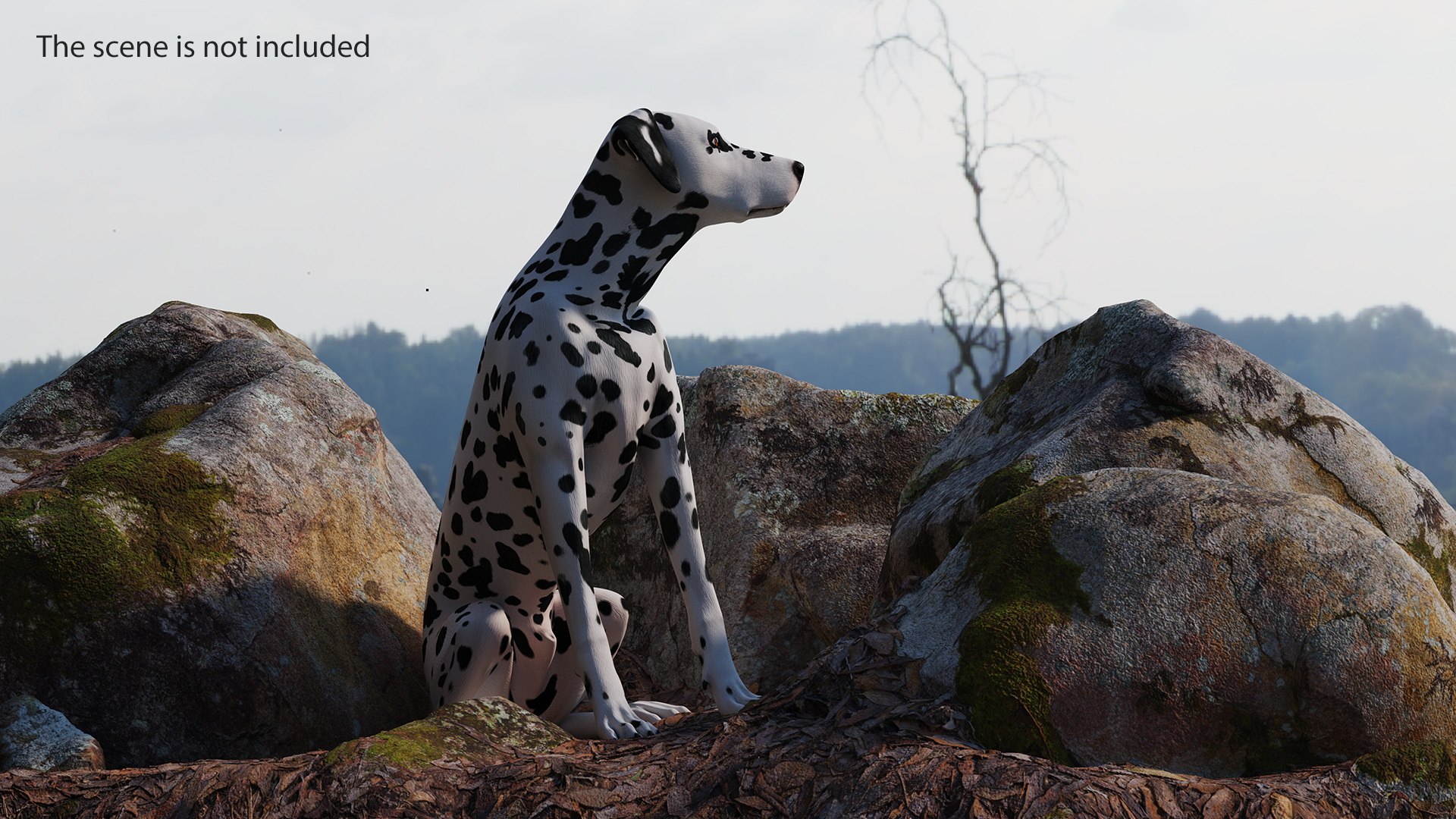 Spotted Sitting Dalmatian Dog 3D model https://p.turbosquid.com/ts-thumb/E1/Aq6V3j/b0/spottedsittingdalmatiandogc4dmodel010/jpg/1716113783/1920x1080/fit_q87/ba95b2893429572da17b0f3b2ae681488c734ab7/spottedsittingdalmatiandogc4dmodel010.jpg