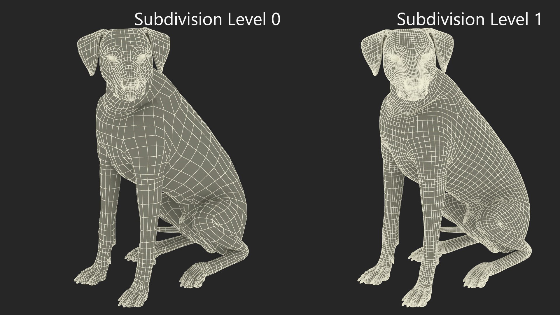 Spotted Sitting Dalmatian Dog 3D model https://p.turbosquid.com/ts-thumb/E1/Aq6V3j/bP/spottedsittingdalmatiandogc4dmodel026/jpg/1716113827/1920x1080/fit_q87/08a4757cfbb92845f996f9abc068533f3540171b/spottedsittingdalmatiandogc4dmodel026.jpg
