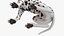 Spotted Sitting Dalmatian Dog