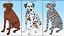 Spotted Sitting Dalmatian Dog
