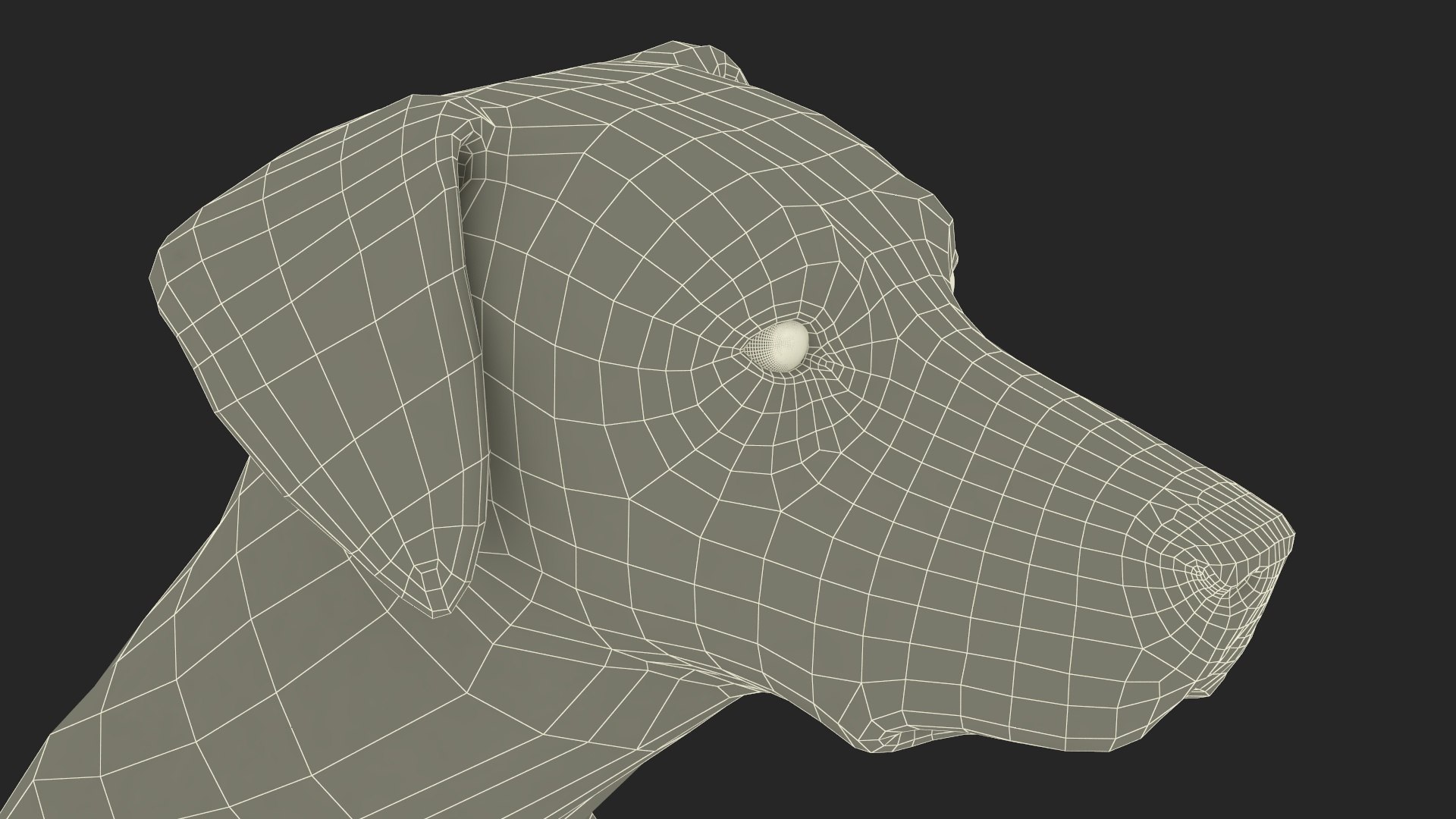 Spotted Sitting Dalmatian Dog 3D model https://p.turbosquid.com/ts-thumb/E1/Aq6V3j/rz/spottedsittingdalmatiandogc4dmodel038/jpg/1716113867/1920x1080/fit_q87/d574710bcf6dd522f845bfb23fee4d689ffd6053/spottedsittingdalmatiandogc4dmodel038.jpg