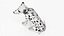 Spotted Sitting Dalmatian Dog