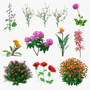 3D model Flowering Plants Collection 6