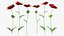 3D model Flowering Plants Collection 6