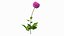 3D model Flowering Plants Collection 6
