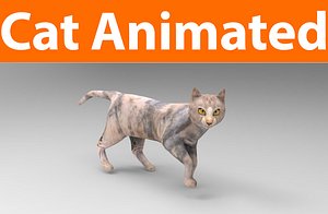 3D cat animations model